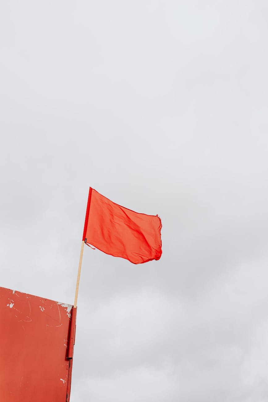 Ms Red Flags RED FLAGS – Coffee With Ms D